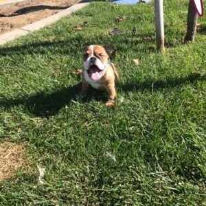 Meet your Posher, Jennifer